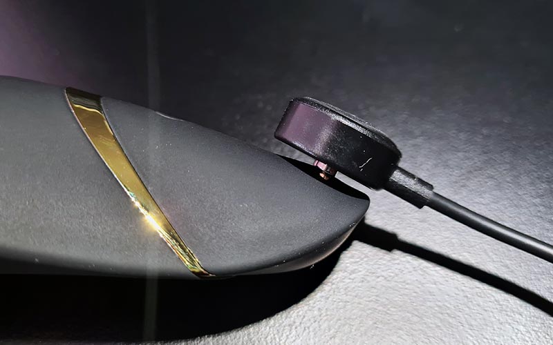 Charger le Womanizer Premium 2