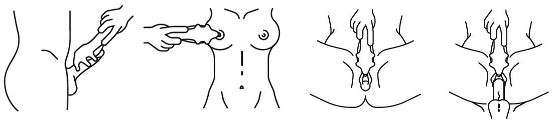 Vibromasseur unisexe polyvalent